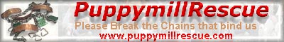 puppymill rescue